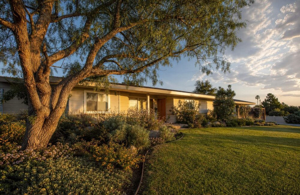 Single-story 1960s ranch home with cream siding, low roofline, and mature pepper tree on spacious front lawn in Mesa Del Mar, Costa Mesa.