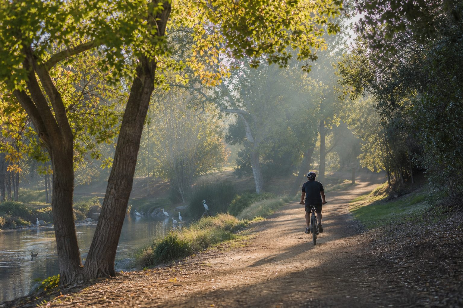 Morning jogger on Talbert Regional Park trail surrounded by mature trees and grassland near Victoria Pond.